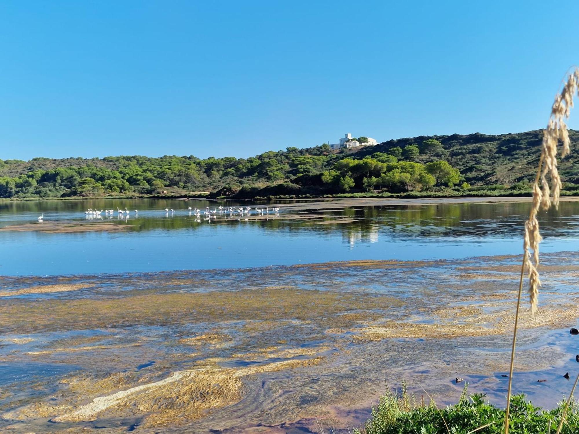 Mongofre Agroturismo Маон Экстерьер фото